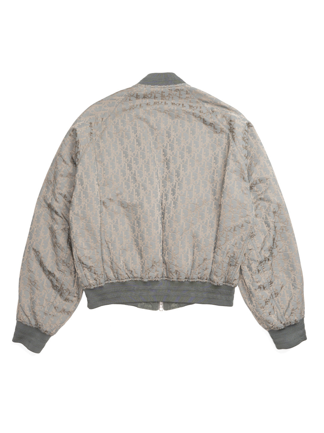 Dior	Oblique Bomber Jacket Gray Technical Fabric	Gray