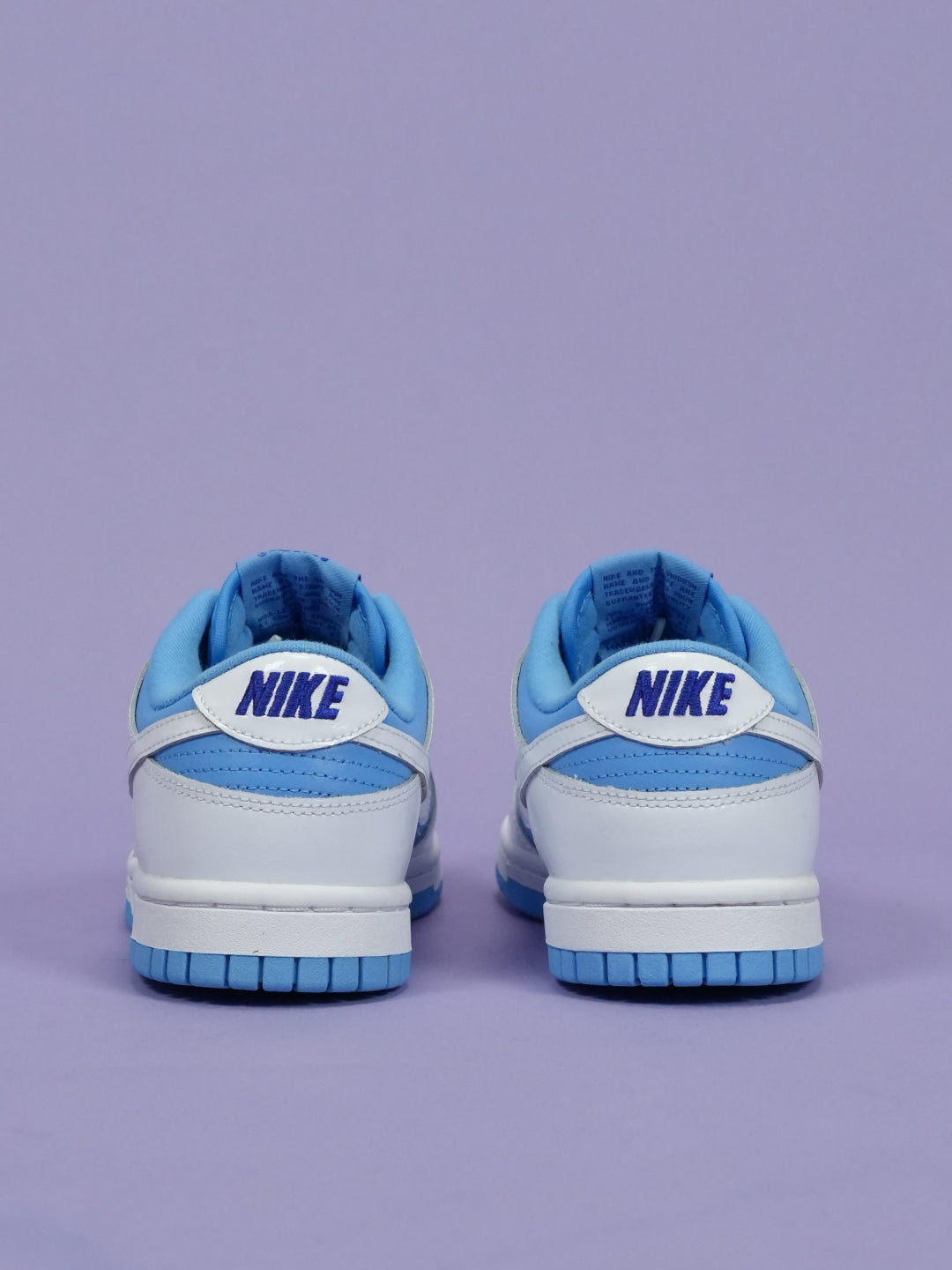 Nike Dunk Low Reverse UNC