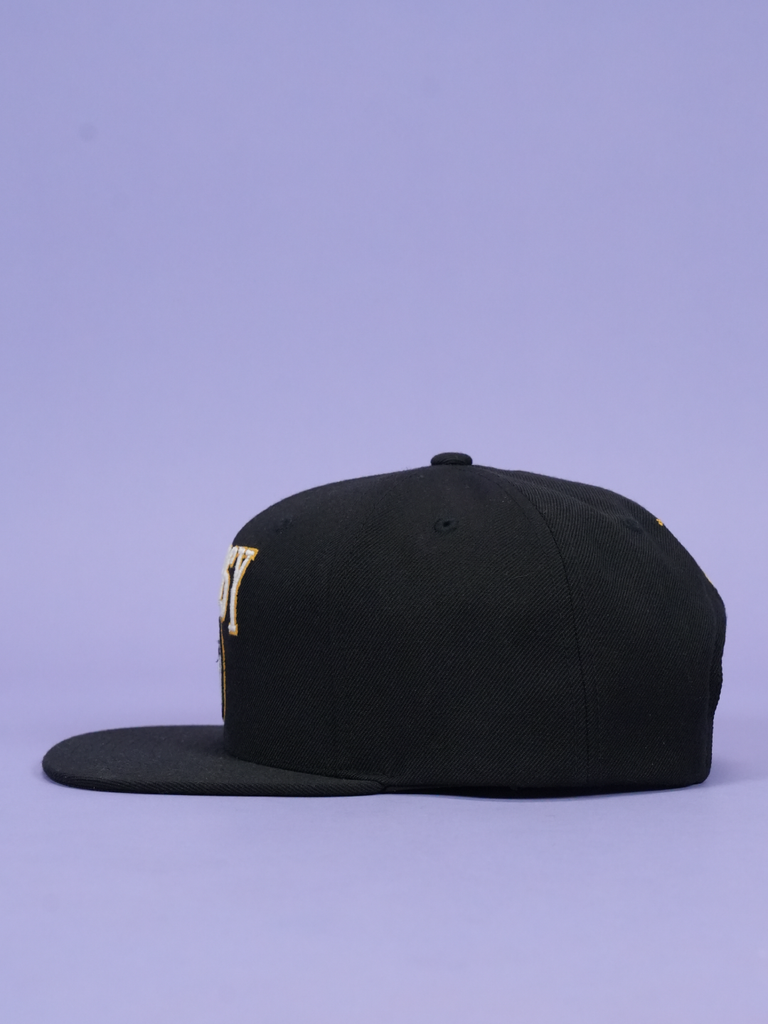 Stussy / Goldie Metalheadz 30 Snapback Hat Black