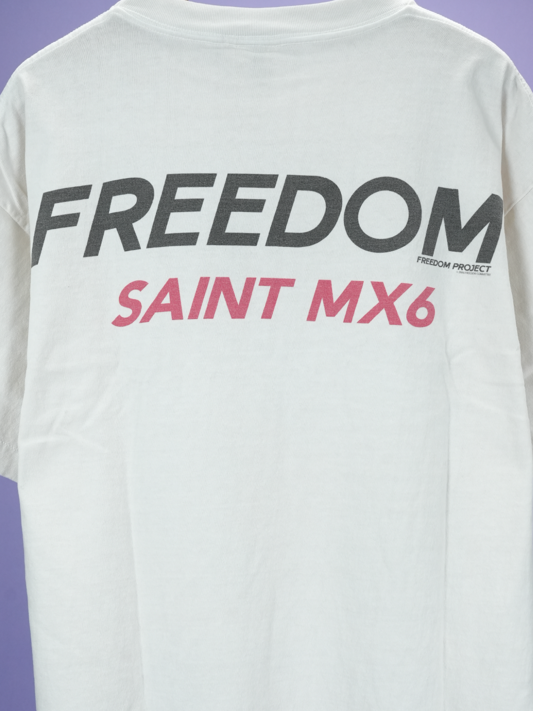 Saint Mxxxxxx Freedom Astro T-Shirt White